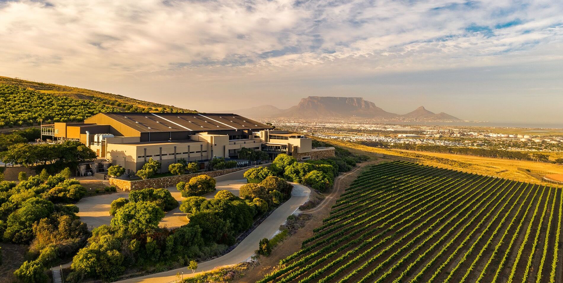 Durbanville Hills Winelands